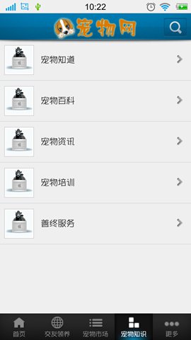 宠物行情
