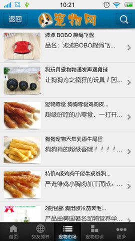 宠物行情