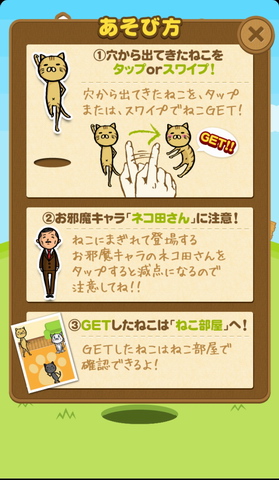 抓小猫