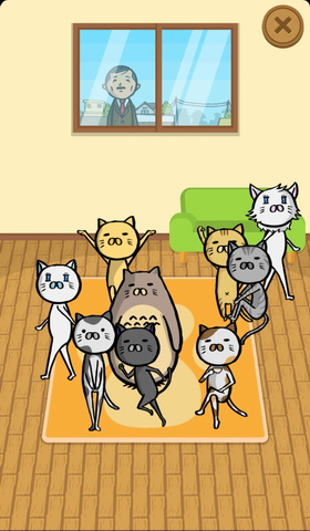 抓小猫