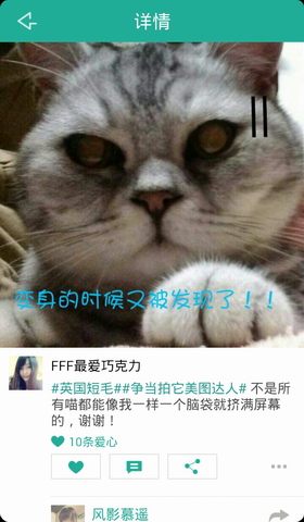 拍它