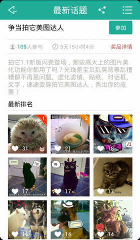 拍它