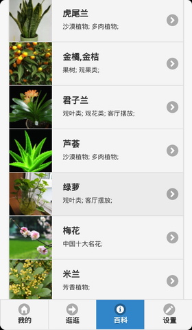 花世界