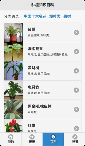 花世界
