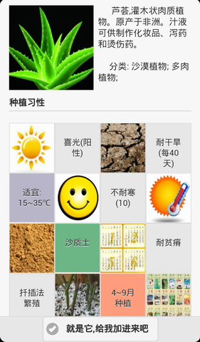 花世界
