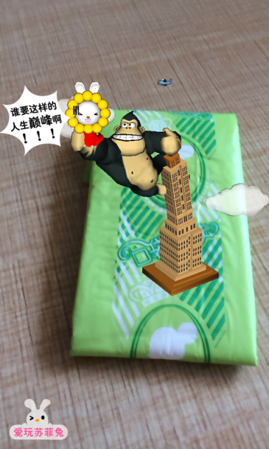 苏菲兔一起玩
