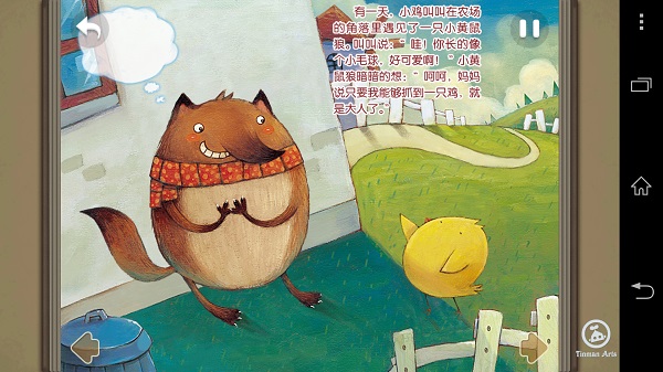 我的朋友小毛球