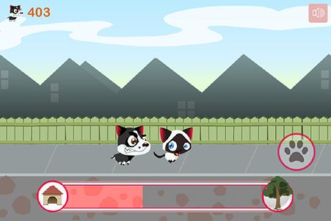 猫和狗 高清版：Dog and Cat