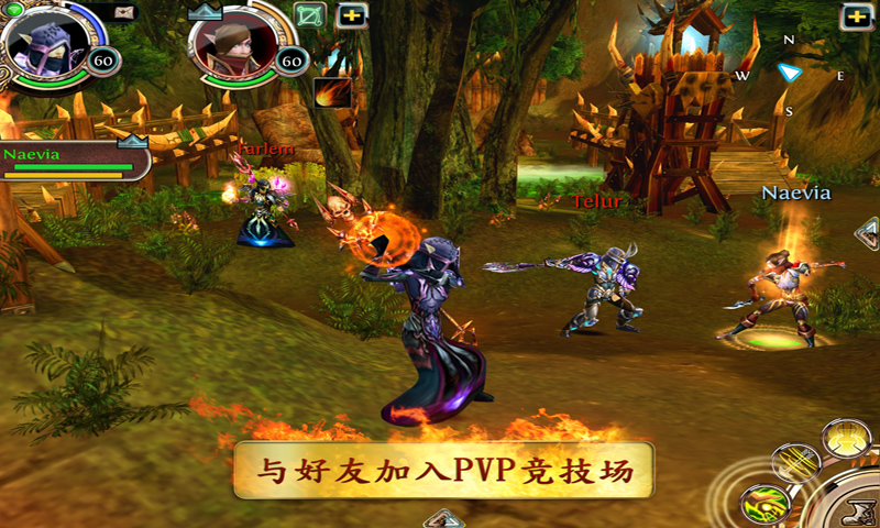 混沌与秩序