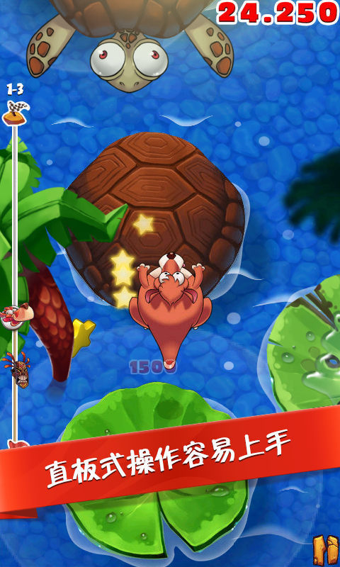 疯狂的澳大利亚袋鼠