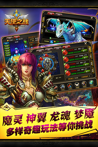 龙之守护