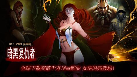 复仇骑士