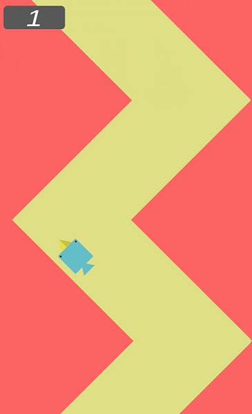 曲线鸟：Curve Bird