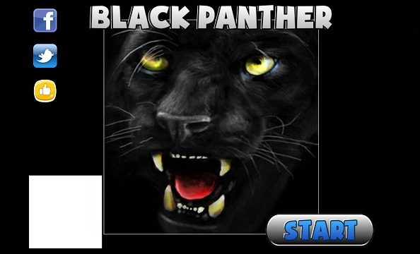 凶猛的黑豹：Black Panther Ferocious