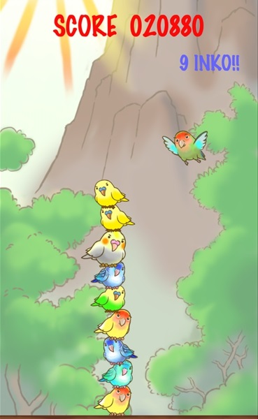鹦鹉罗汉