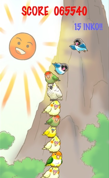鹦鹉罗汉