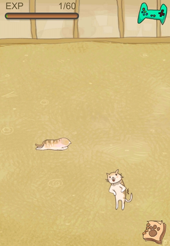 狠毒的猫咪