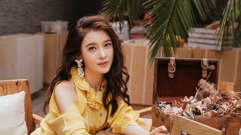 淡雅如菊的美女演员赵韩樱子手机壁纸