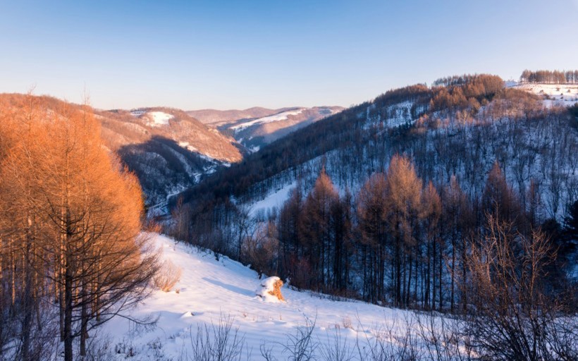 冬季唯美白色雪景手机壁纸