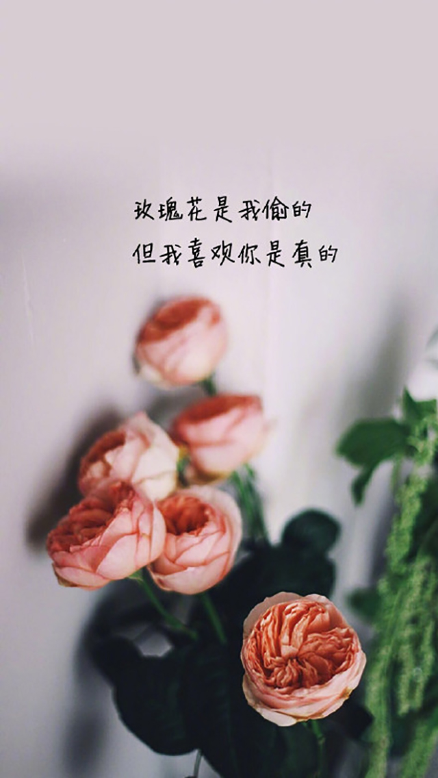 唯美爱情文字语句高清手机壁纸