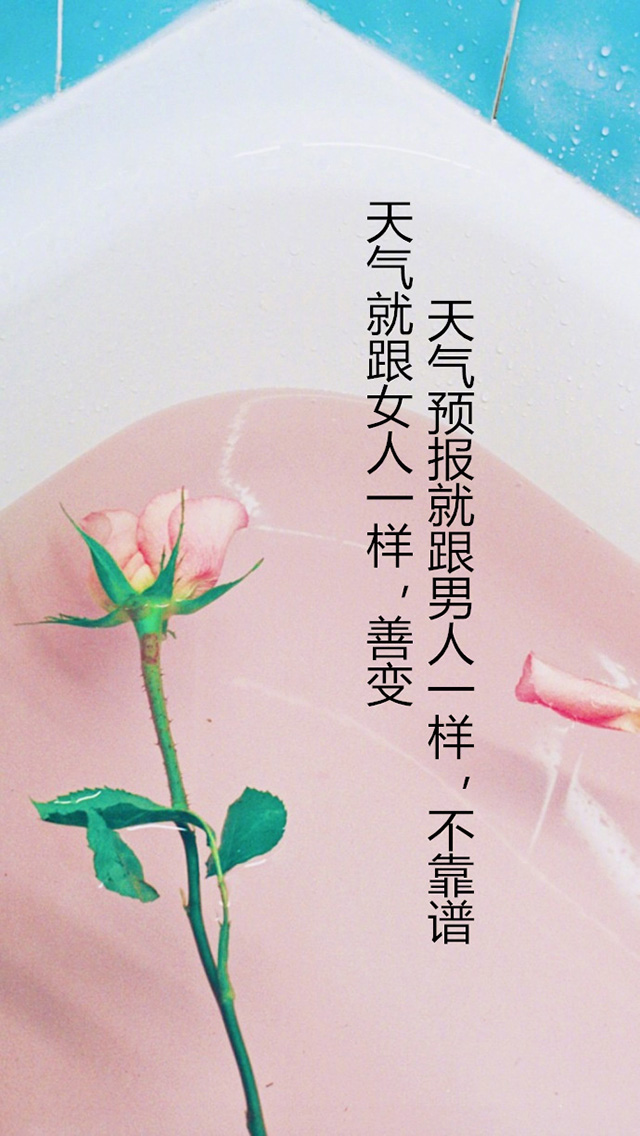 风格迥异高清唯美手机壁纸