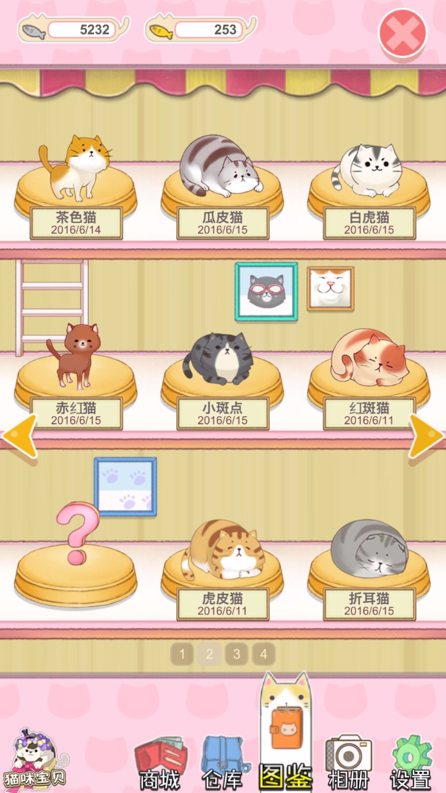 猫宅日记
