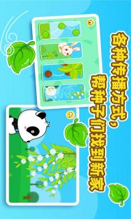 奇妙的种子