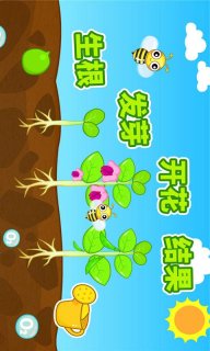 奇妙的种子