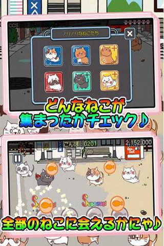 萌猫节奏