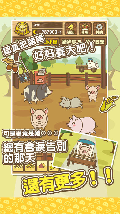 欢迎来到养猪场MIX