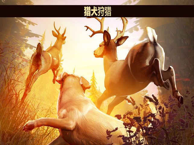 猎鹿人2018