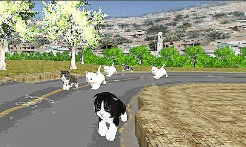 猫咪赛跑