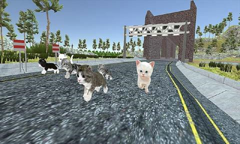 猫咪赛跑
