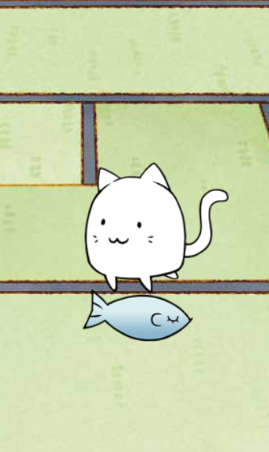 抖音猫咪转向