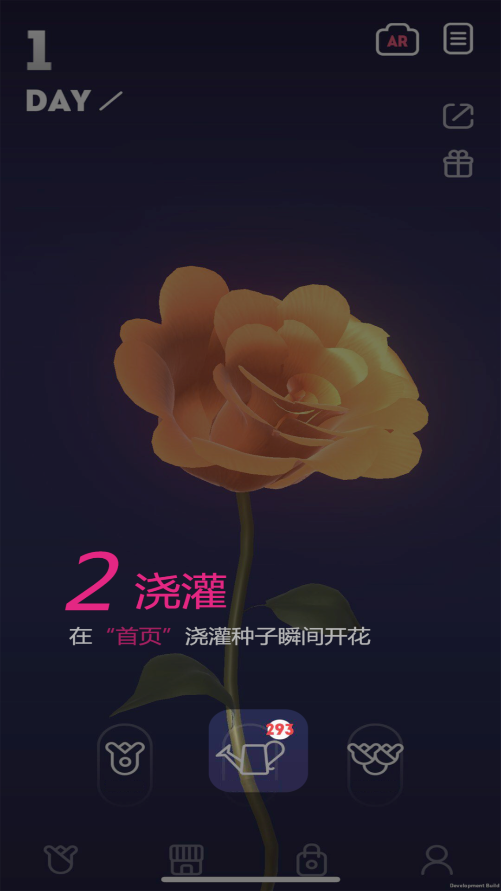The Rose AR游戏