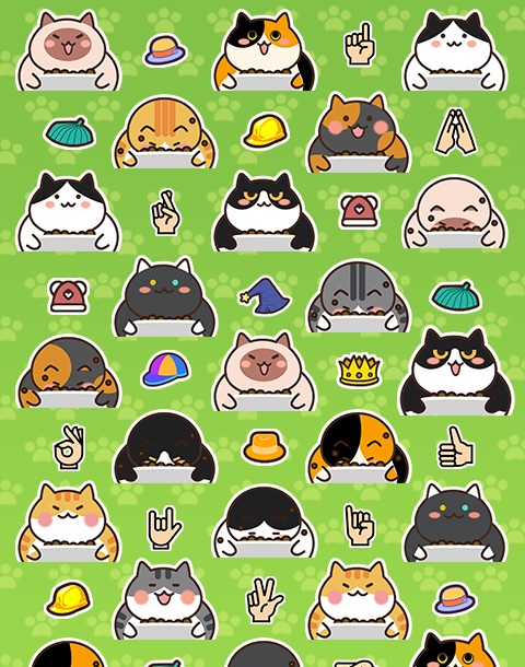 不能再吃了橘猫