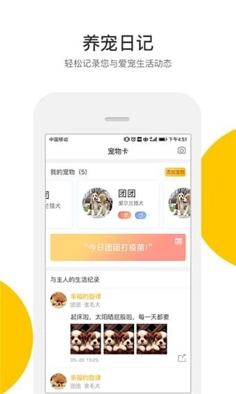 轻松宠