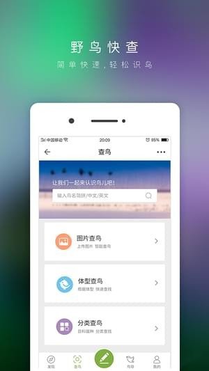 爱鸟
