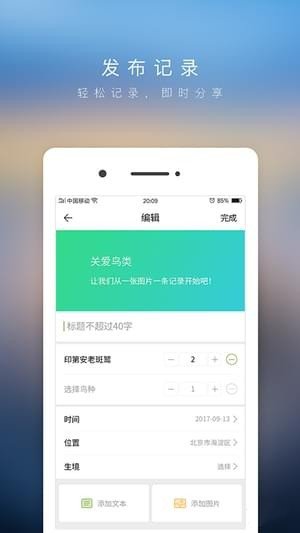 爱鸟