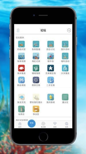 海精灵论坛