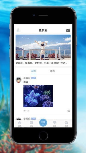 海精灵论坛