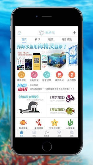 海精灵论坛