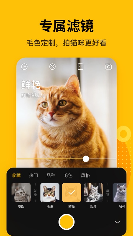 爪叽
