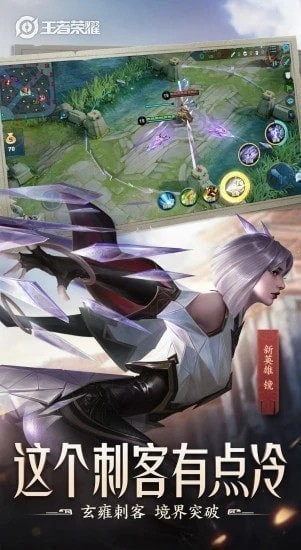 2020王者荣耀皮肤助手