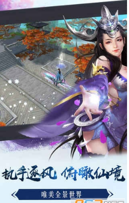 极品仙丁