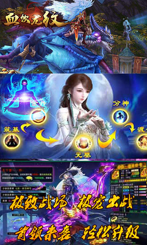 血饮龙纹