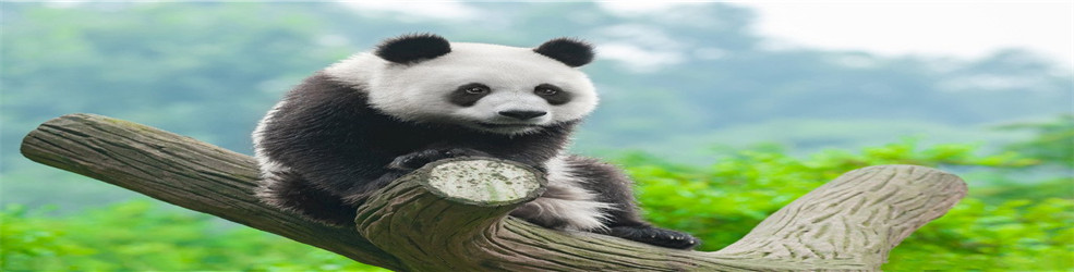 电子书免费阅读