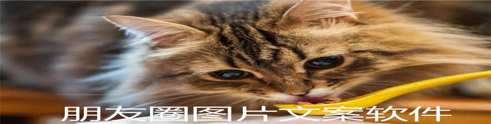 朋友圈图片文案软件