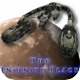 无尽黑暗:The Infinite Black