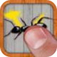 拍蚂蚁汉化版：Ant Smasher